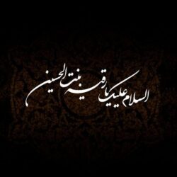 دانلود 50 مداحی شهادت حضرت رقیه س ماه صفر