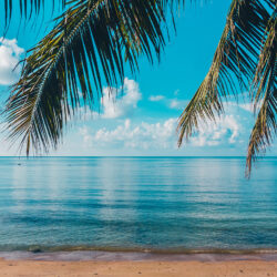 دانلود رایگان پلی لیست موسیقی بی کلام آرامش بخش لوفای (Lofi relax)