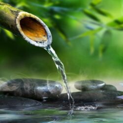 دانلود رایگان پلی لیست موسیقی بی کلام آرام بخش و ملایم (Lazy Jazz Cat)