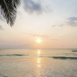 دانلود رایگان پلی لیست موسیقی بی کلام لوفای آرامش بخش (Lofi Relax)