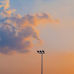 دانلود رایگان پلی لیست 142 موسیقی بی کلام وایب خیالی و رویایی (Dreamy Vibes)