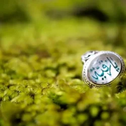 دانلود 3 مداحی جدید ولادت حضرت رقیه (س) صوتی