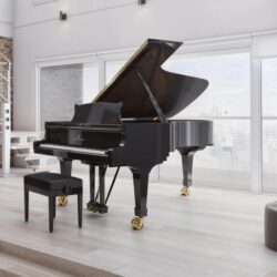 دانلود 50 موزیک آرام بخش با پیانو کلاسیک (New Piano Classical)