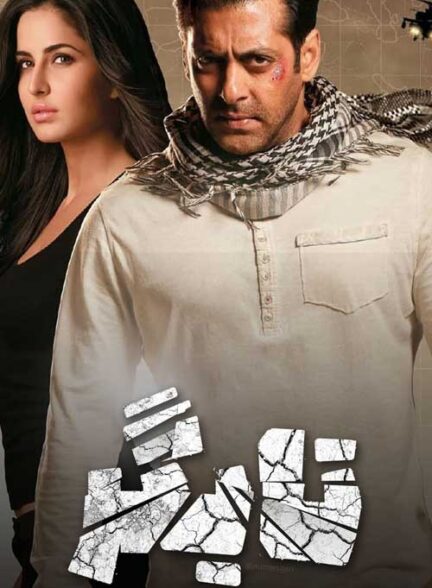دانلود فیلم زمانی تایگر وجود داشت Ek Tha Tiger 2012 + دوبله فارسی