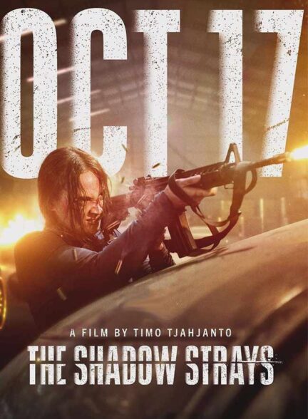 دانلود فیلم ولگردهای سایه The Shadow Strays 2024 + دوبله فارسی