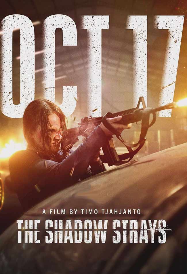 دانلود فیلم ولگردهای سایه The Shadow Strays 2024 + دوبله فارسی