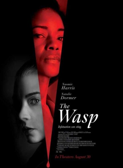 دانلود فیلم زنبور The Wasp 2024 + دوبله فارسی