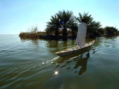 راهنمای جامع اکولوژی و گردشگری تالاب شادگان