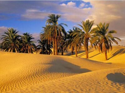 آرامش شن‌ های روان خراسان جنوبی در کویر حلوان طبس