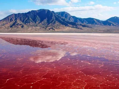 تالاب لیپار رویایی صورتی در کرانه‌ های اقیانوسی چابهار